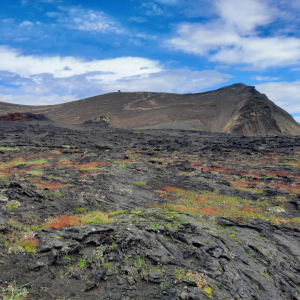 Surtsey á heimsminjaskrá